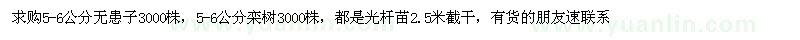 求購5-6公分無患子，5-6公分欒樹