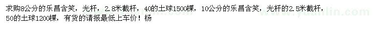 求購(gòu)8公分10公分的樂(lè)昌含笑