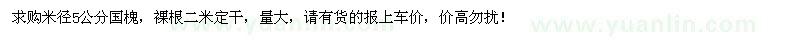 求購(gòu)大量米徑5公分國(guó)槐