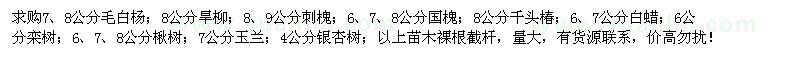 求購毛白楊、旱柳、刺槐、國槐等苗木