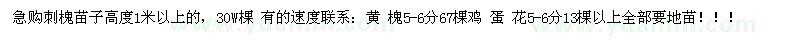 求購刺槐苗子高度1米以上的 30W棵 黃 槐5-6分67棵