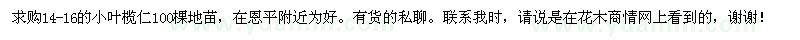 求購14-16的小葉欖仁100