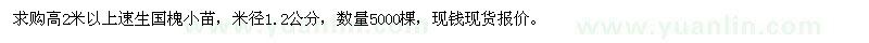 求購高2米以上生國槐5000棵