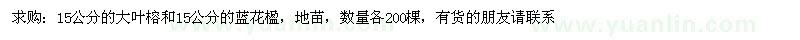 求購15公分的大葉榕和15公分的藍花楹