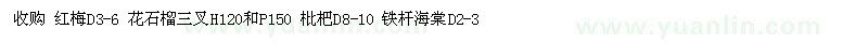 求購(gòu)紅梅D3-6 花石榴三叉H120和P150 枇杷D8-10 鐵桿海棠D2-3