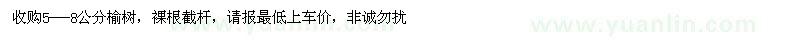 求購榆樹