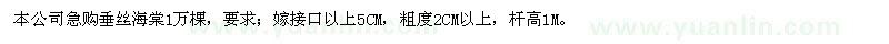 求購(gòu)垂絲海棠1萬(wàn)棵