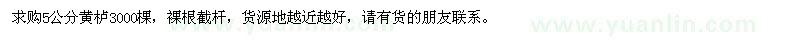 求購5公分黃櫨3000棵
