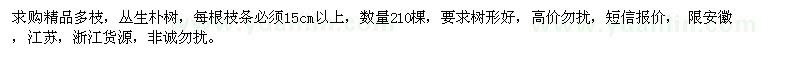 求購叢生樸樹