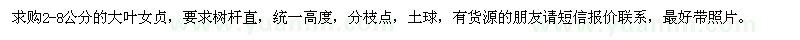 求購大葉女貞