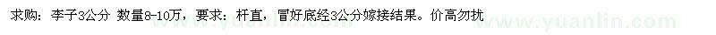 求購(gòu)3公分李子8-10萬(wàn)