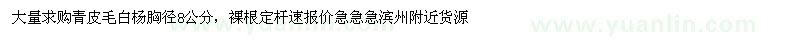 求購8公分毛白楊