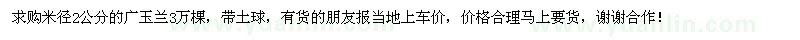 求購(gòu)米徑2公分的廣玉蘭