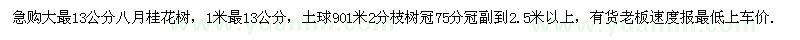 求購13公分八月桂花樹