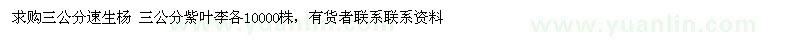 求購速生楊 紫葉李Φ3cm 10000棵