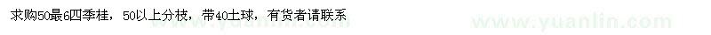 求購50最6四季桂