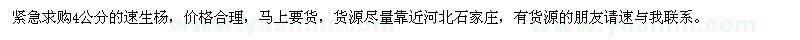 求購4公分的速生楊