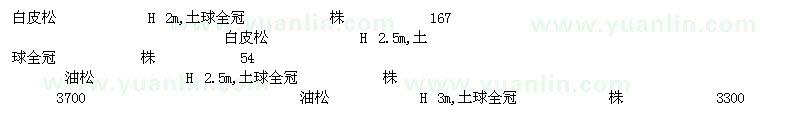 求購白皮松油松側(cè)柏