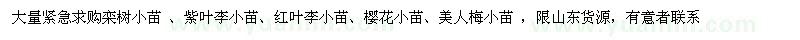 求購大量緊急求購欒樹(shù)、紫葉李、紅葉李、櫻花、美人梅小苗
