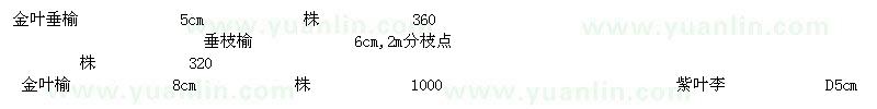 求購金葉榆金葉垂榆垂枝榆紫葉李山楂