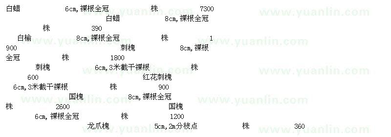 求購白臘刺槐紅花刺槐國槐五角楓千頭椿臭椿毛白楊香花槐龍爪槐