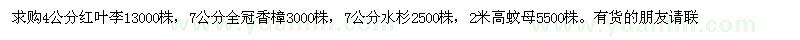 求購4公分紅葉李