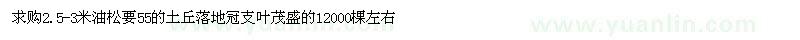 求購2.5-3米油松