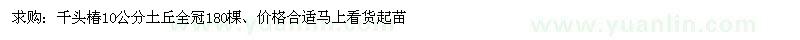 求購千頭椿10公分土丘全冠180棵
