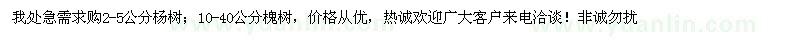 求購大量楊樹槐樹柳樹