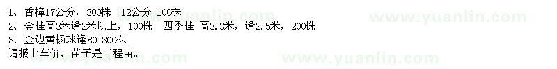 求購香樟,金桂,金邊黃楊球