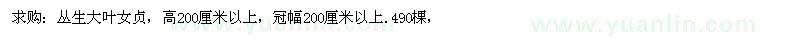 求購(gòu)叢生大葉女貞