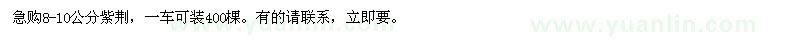 求購急8-10公分紫荊