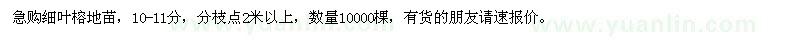 求購10-11分細(xì)葉榕