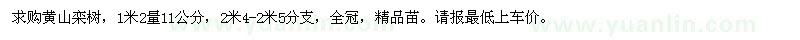 求購(gòu)11公分黃山欒樹(shù)