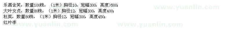 求購樂昌含笑、大葉女貞等苗木