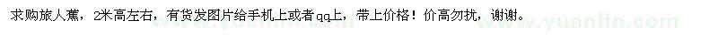 求購(gòu)2米高左右的旅人蕉