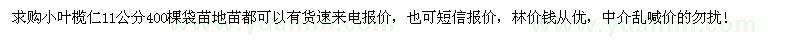 求購(gòu)小葉欖仁11公分