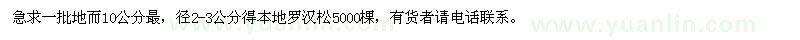 求購一批2-3公分得本地羅漢松5000棵