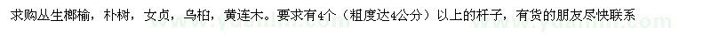求購叢生榔榆，樸樹，女貞，烏桕，黃連木