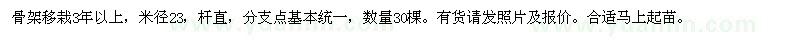求購23公分無患子