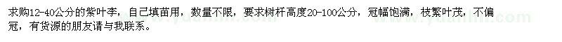 求購(gòu)12-40公分的紫葉李