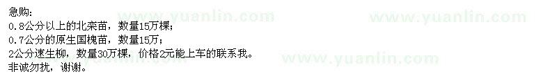 求購急北欒苗,國槐苗,2公分速生柳
