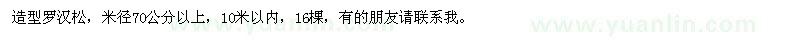 求購造型羅漢松