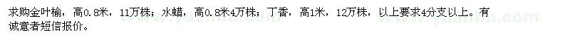 求購金葉榆、水蠟、丁香