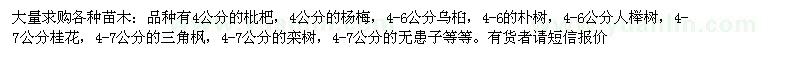 求購(gòu)枇杷、楊梅、櫸樹(shù)、桂花、三角楓、欒樹(shù)