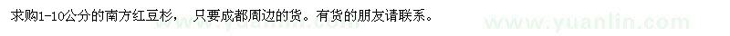 求購1-10公分的南方紅豆杉