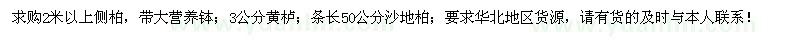 求購側(cè)柏、黃櫨、沙地柏