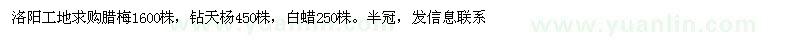 求購(gòu)臘梅1600株，鉆天楊450株，白蠟250株