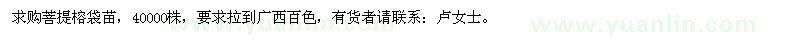 求購菩提榕袋苗