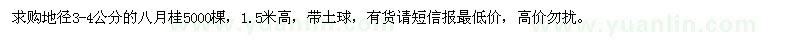 求購3-4公分的八月桂5000棵